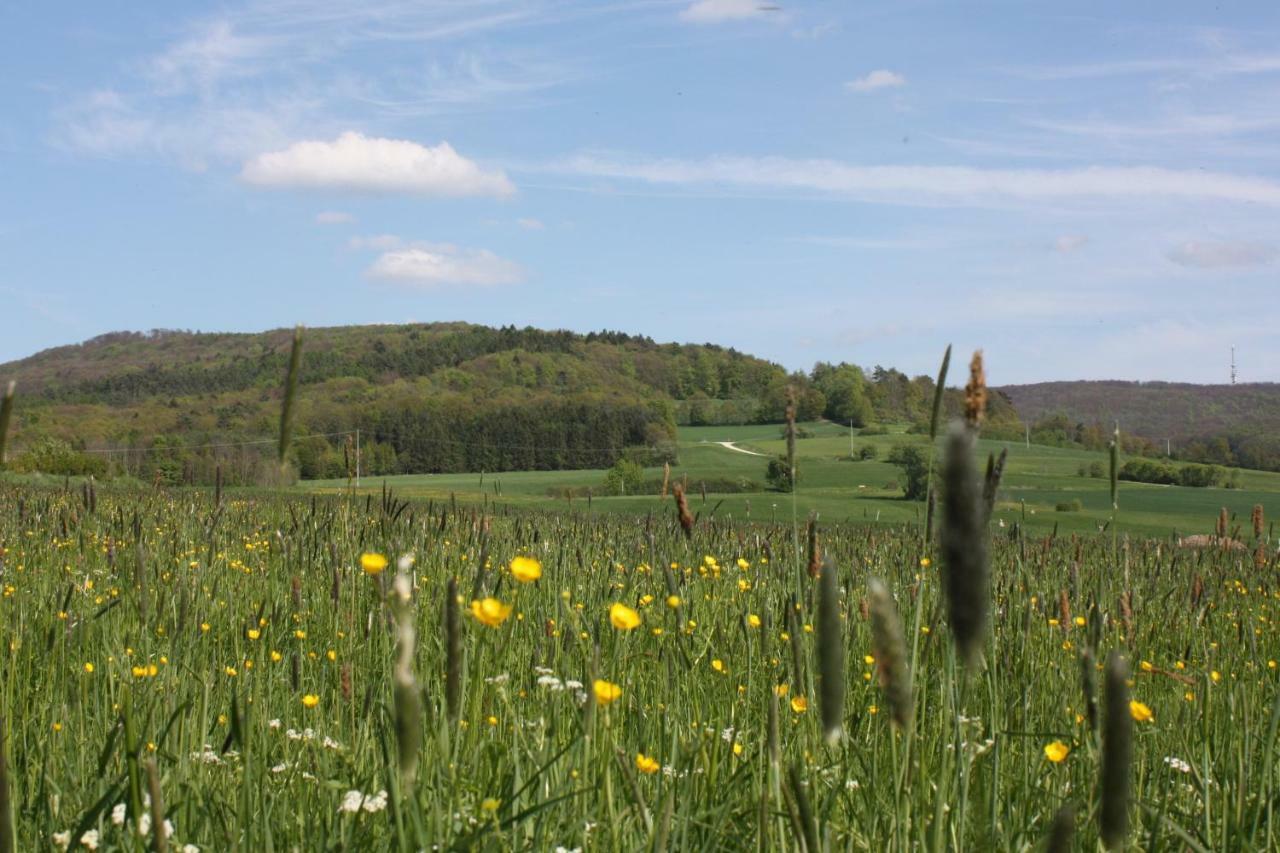 Fewo Litzendorf Exteriér fotografie
